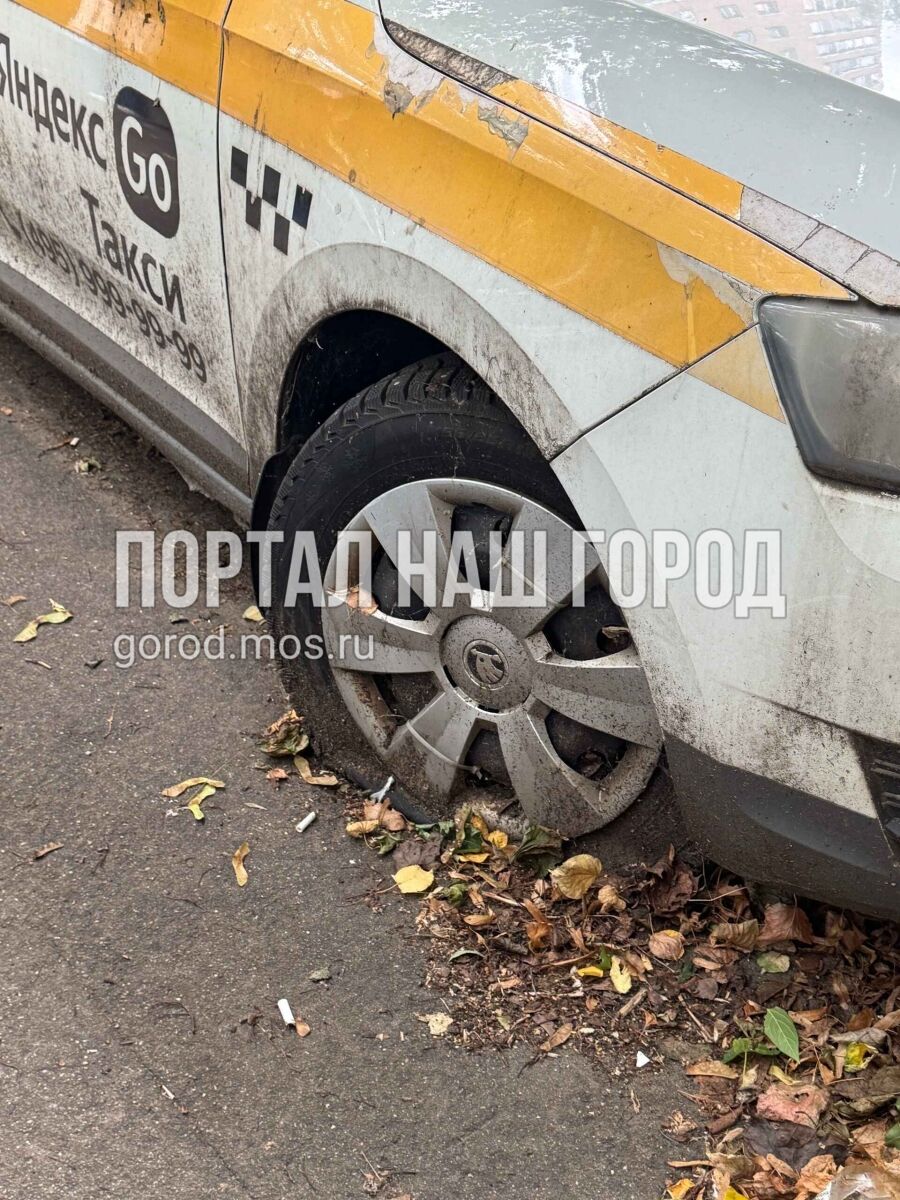 Фото заявки #155274816