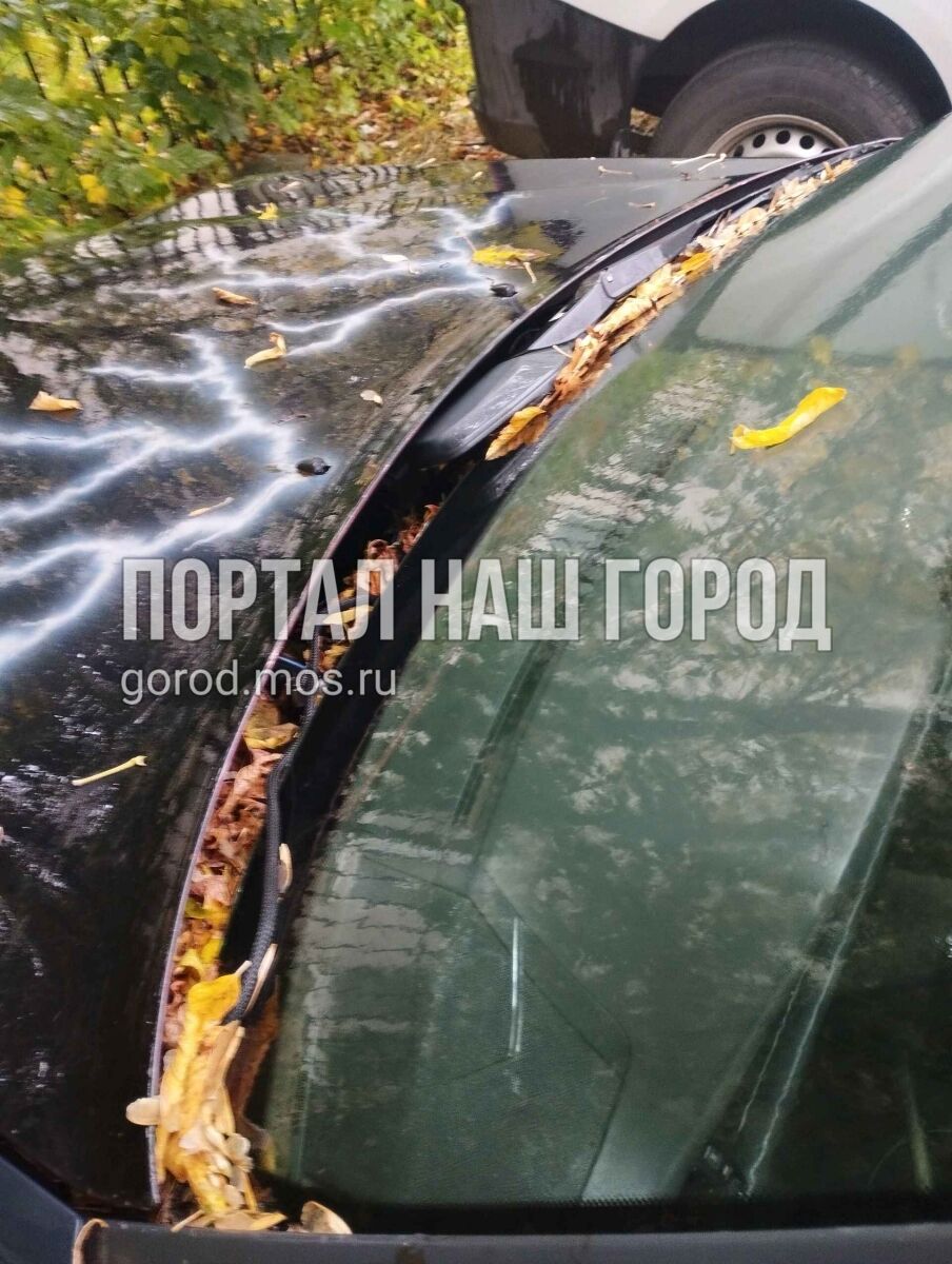 Фото заявки #156768560