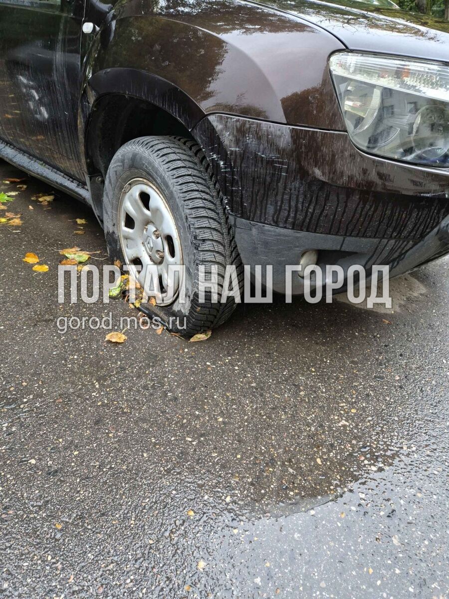 Фото заявки #156769403