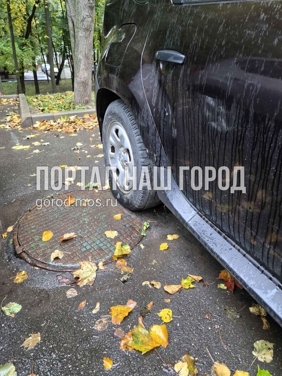 Фото заявки #156769403