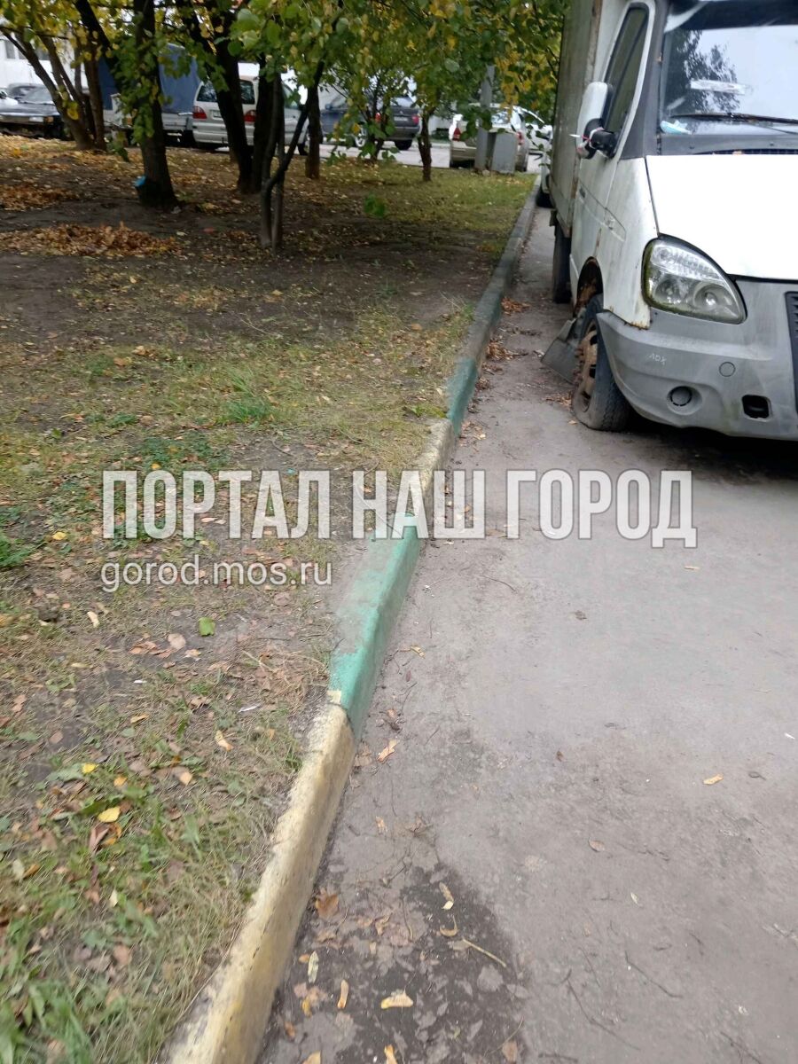 Фото заявки #156771088