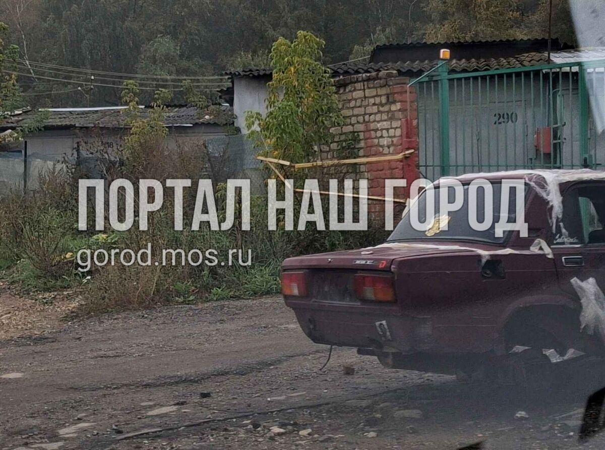 Фото заявки #156780038